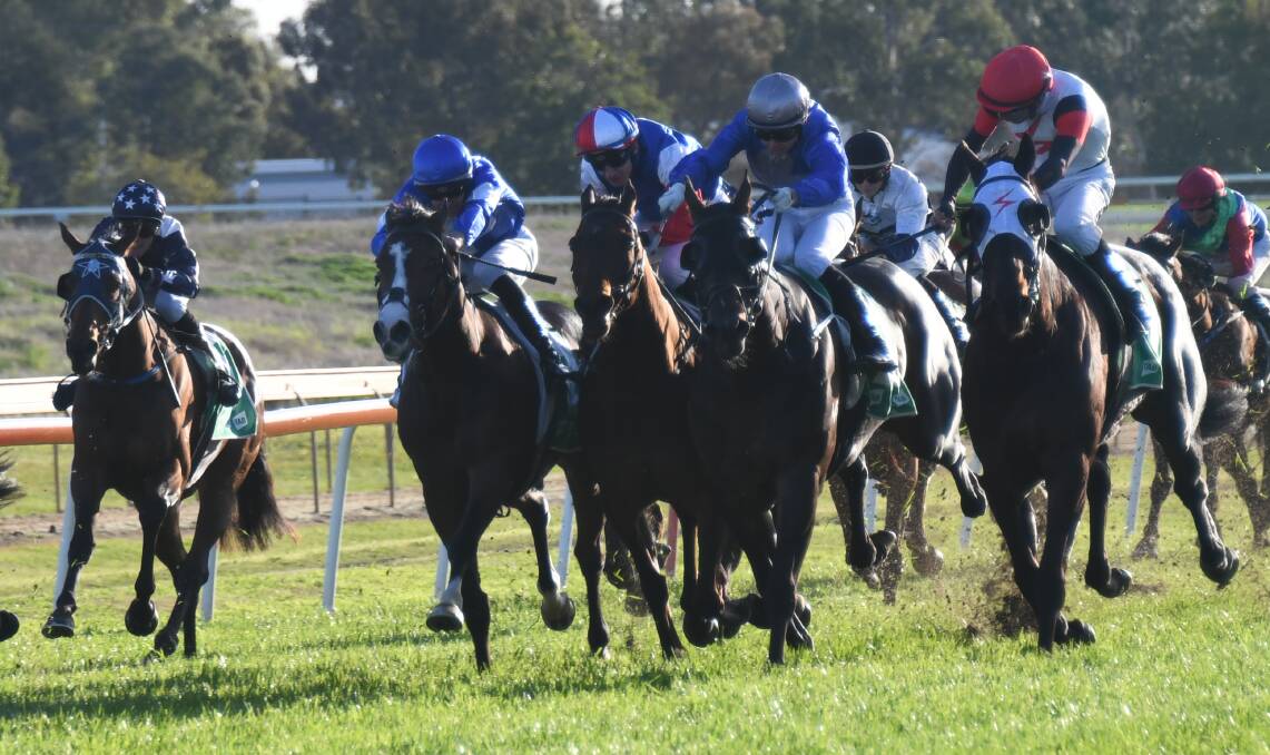 Prince of Helena (right) is among a classy group of Bathurst Cup nominations. Picture by Amy McIntyre.