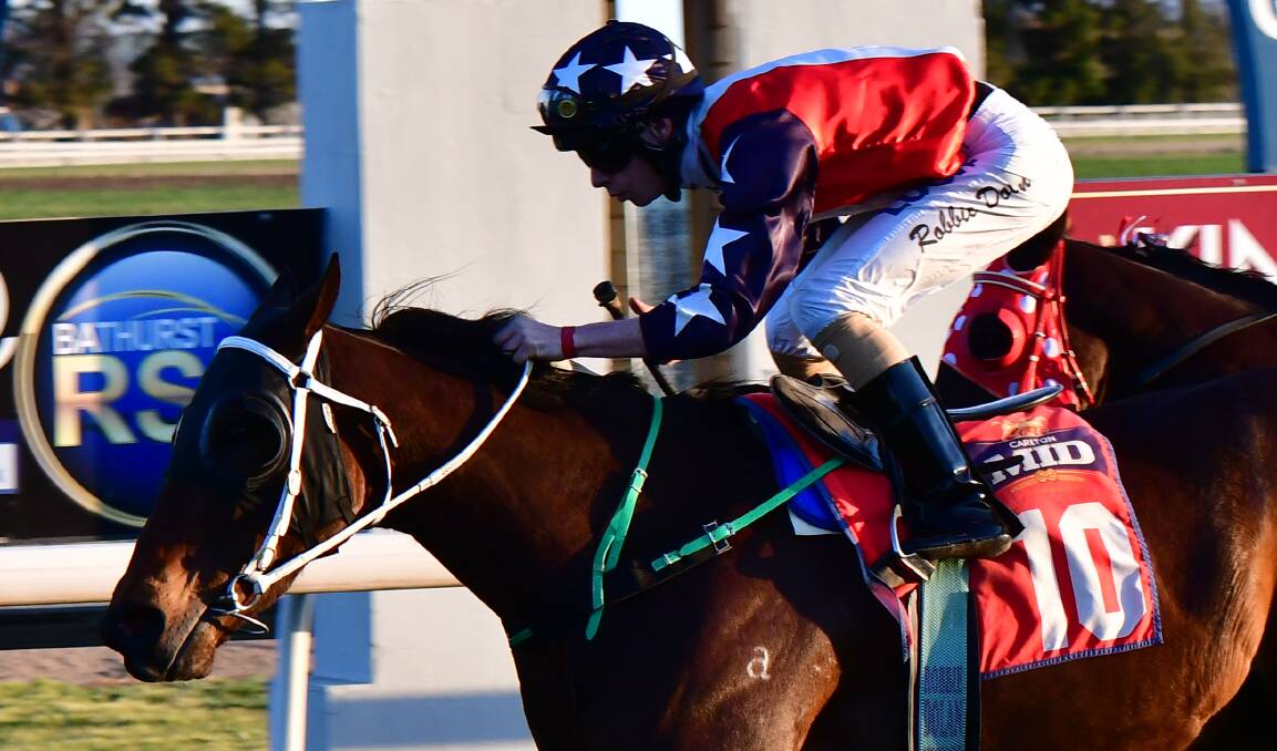 SPECIAL MARE: Robbie Dolan rides Press Box to victory in Sunday's The Panorama at Tyers Park. Photo: ALEXANDER GRANT