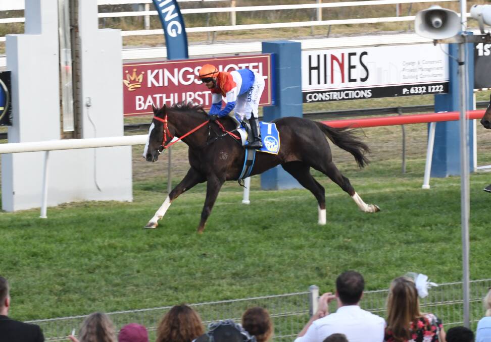 HOFF AND RUNNING: Beau Hoffa took out Wednesday's Soldier's Saddle at Bathurst. Photo: CHRIS SEABROOK
