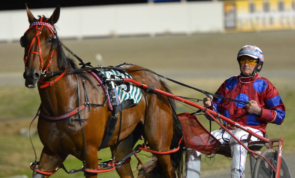 BOUNCE BACK: Maximus Red will be a strong chance in this Thursday's Parkes Cup for Steve Turnbull. Photo: ANYA WHITELAW