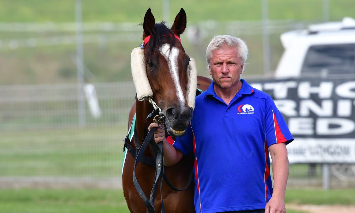 PLENTY OF CHANCES: Our Blue Boy is one of six runners for Dean Mirfin at Bathurst on Thursday. Photo: ALEXANDER GRANT