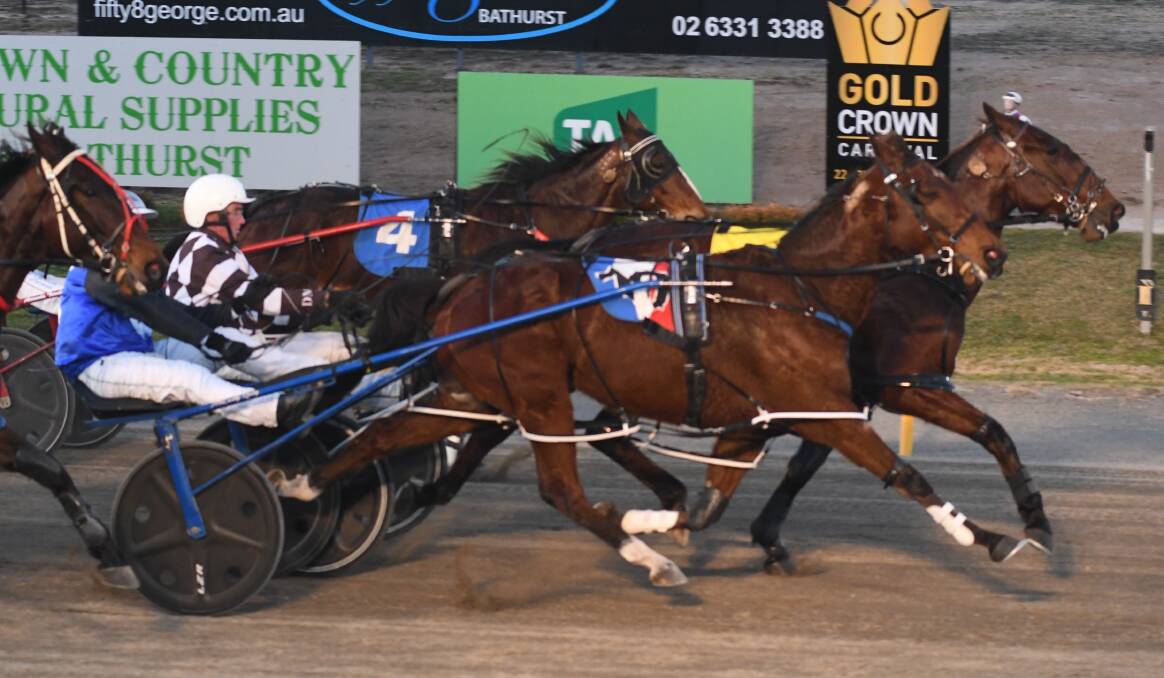 HALF HEAD IN IT: Spike Robyn narrowly holds out Major Currency in Wednesday's racing at Bathurst Paceway. Photo: CHRIS SEABROOK