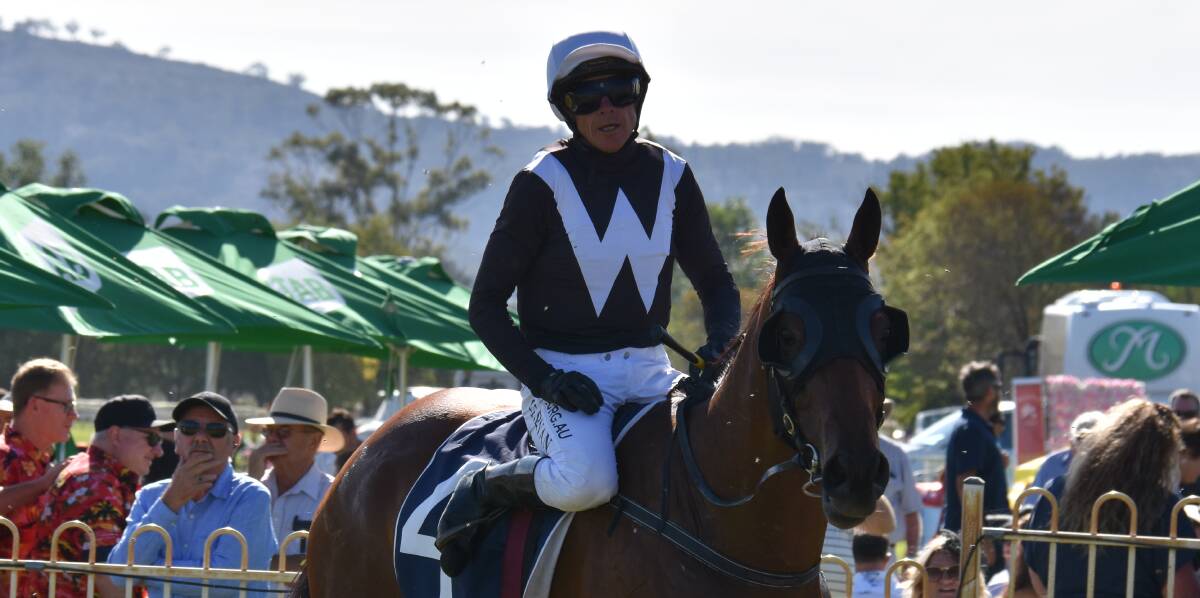 RANDWICK BOUND: Healing Hands will contest another Country Championships Final after gaining entry into the race on Wednesday. Photo: JAY-ANNA MOBBS