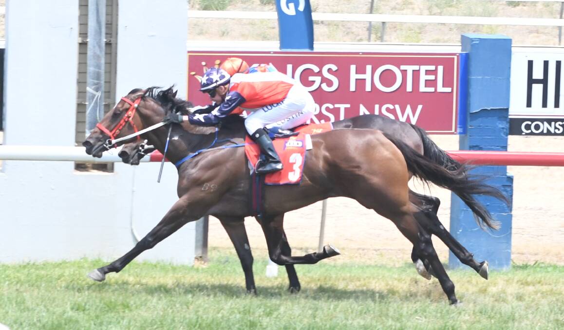 NOTHING IN IT: Tale Of The Kraut hangs on to beat Denace in the opening race at Tyers Park. Photo: CHRIS SEABROOK