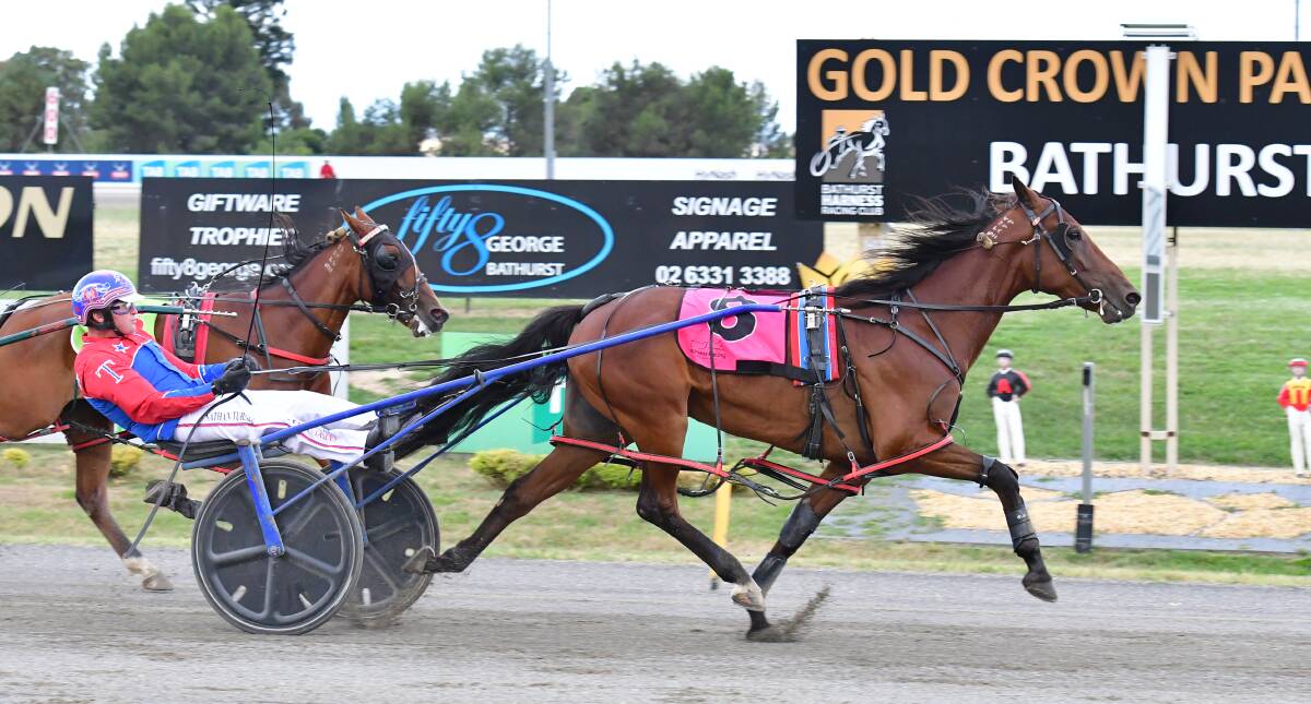 Zu Hoffen picks up his second win for Nathan Turnbull on Friday. Picture by Alexander Grant.