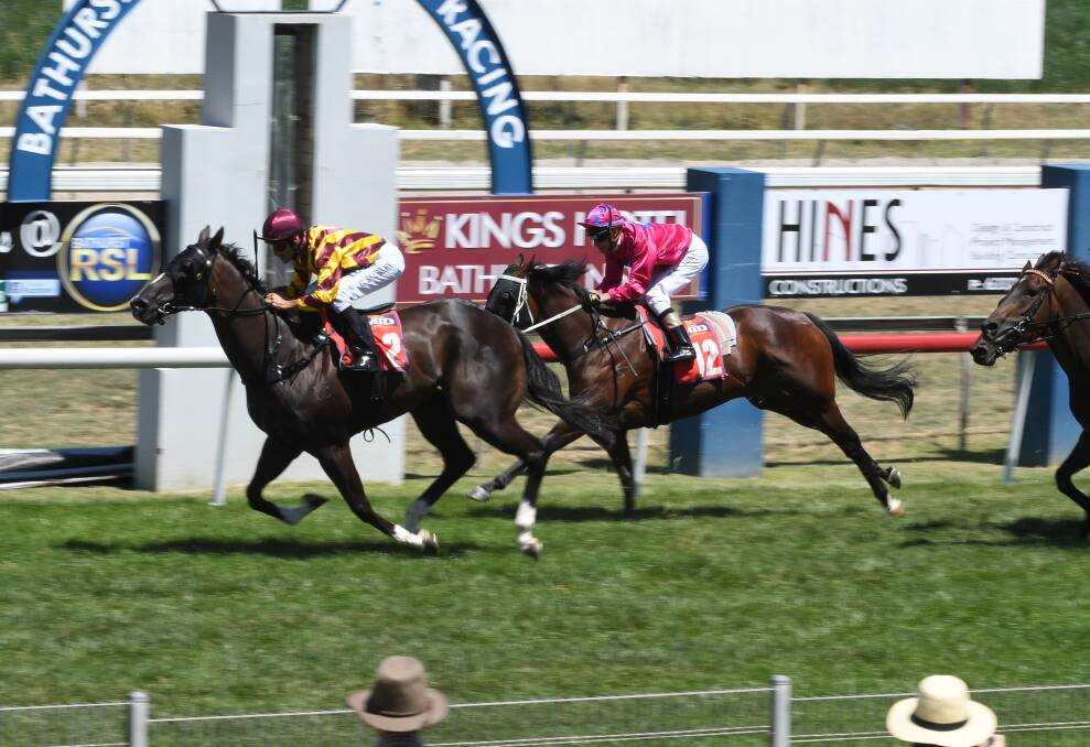 CLOSE FINISH: Bow River beats home Jetgirl in Sunday's $40,000 Hugh Bowman Cup. Photo: CHRIS SEABROOK