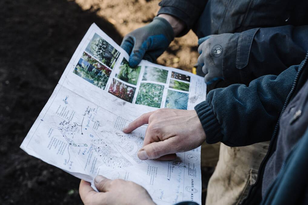 A mud map and planting schedule is a smart place to start. Picture by Marnie Hawson 