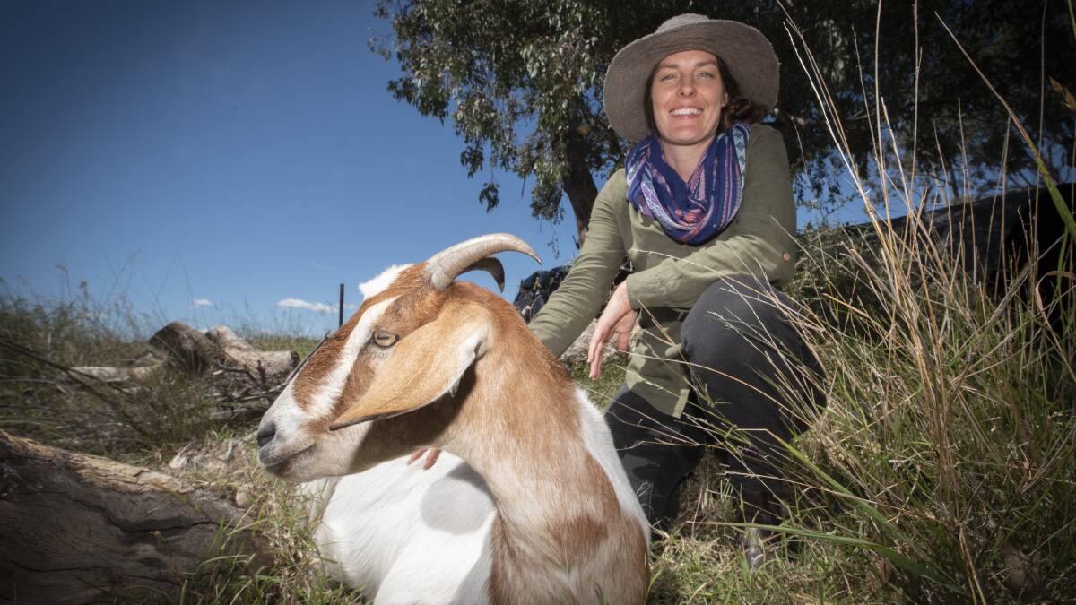 YOU'RE KIDDING: Amanda Carter with one of the RFS' new secret weapons, a fire mitigation goat. Photo: Peter Hardin 
