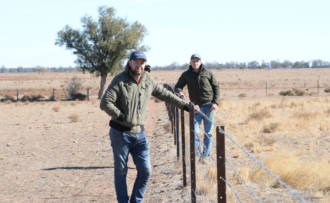 Brad Purdy, "Raheen", Baradine with farm worker Joel Davis, standing in  paddocks which Mr Purdy has tried to save from having the grass cores eaten out only to see hundreds of roos move in. Photo by Rachael Webb.