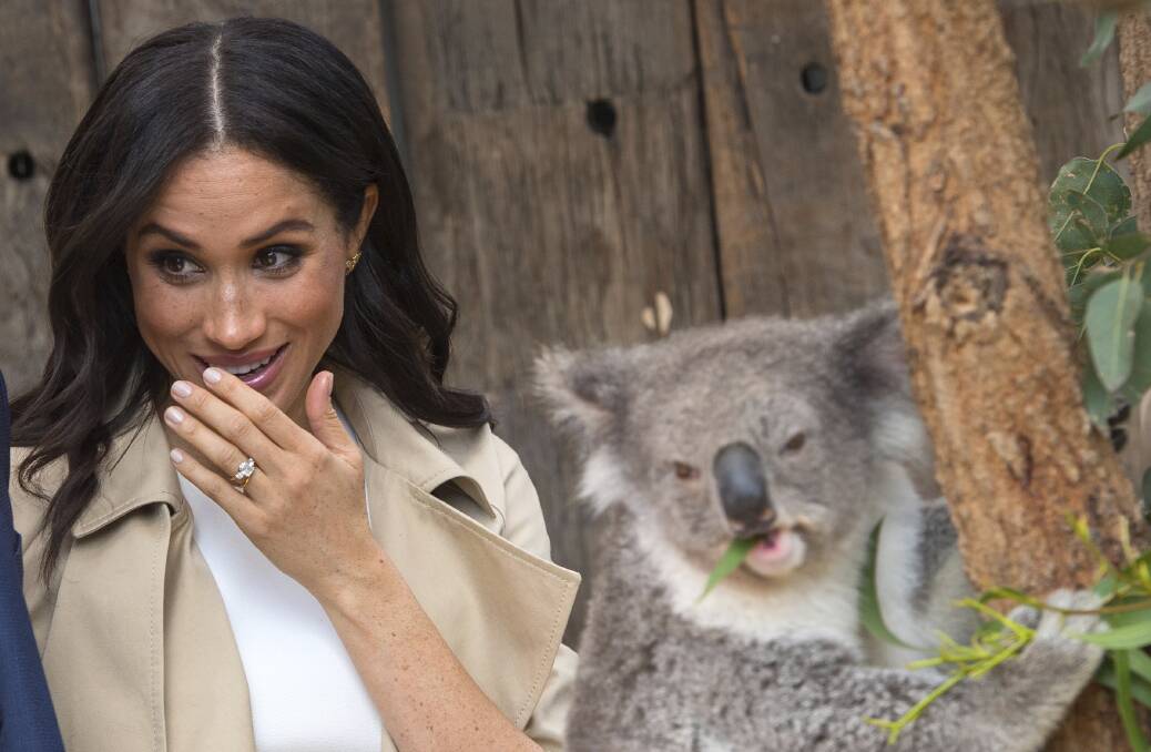 Meghan, Duchess of Sussex, got up close with a koala on the Royal tour during a visit to Taronga Zoo last week.