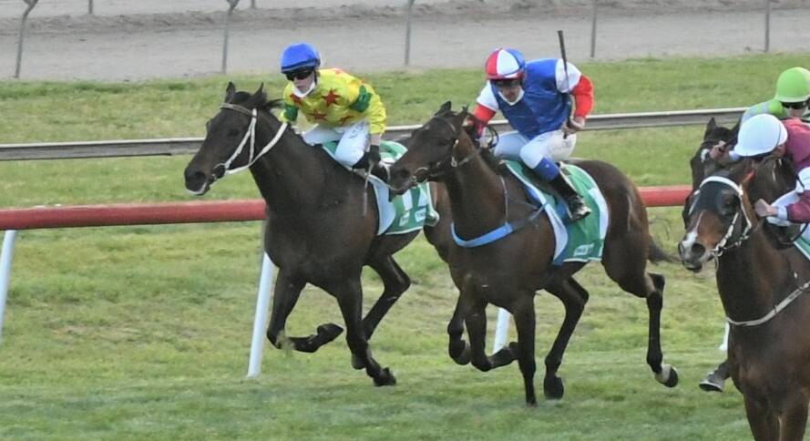 IN THE MIX: Notabadidea (yellow silks) has impressed in recent starts and will contest Sunday's Coonamble Cup. Photo: CHRIS SEABROOK