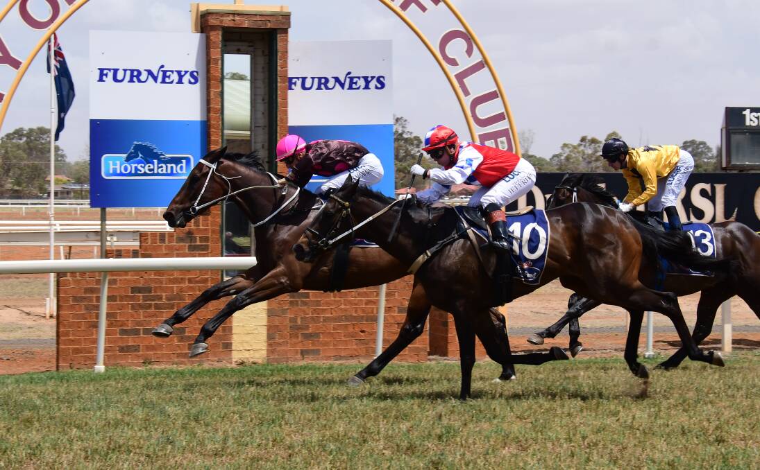 GOING AGAIN: Clever Missile (inside) won at Dubbo on Derby Day and will race at the track again on Sunday. Photo: AMY McINTYRE