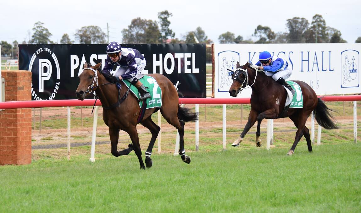 FEATURE CHANCE: Wild Rocket will contest Sunday's Gunnedah Cup for Narromine trainer Kylie Kennedy. Photo: AMY McINTYRE