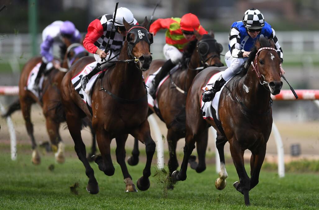 READY: Brave Smash (right) will tackle to Manikato Stakes on Friday night. Photo: AAP/JULIAN SMITH