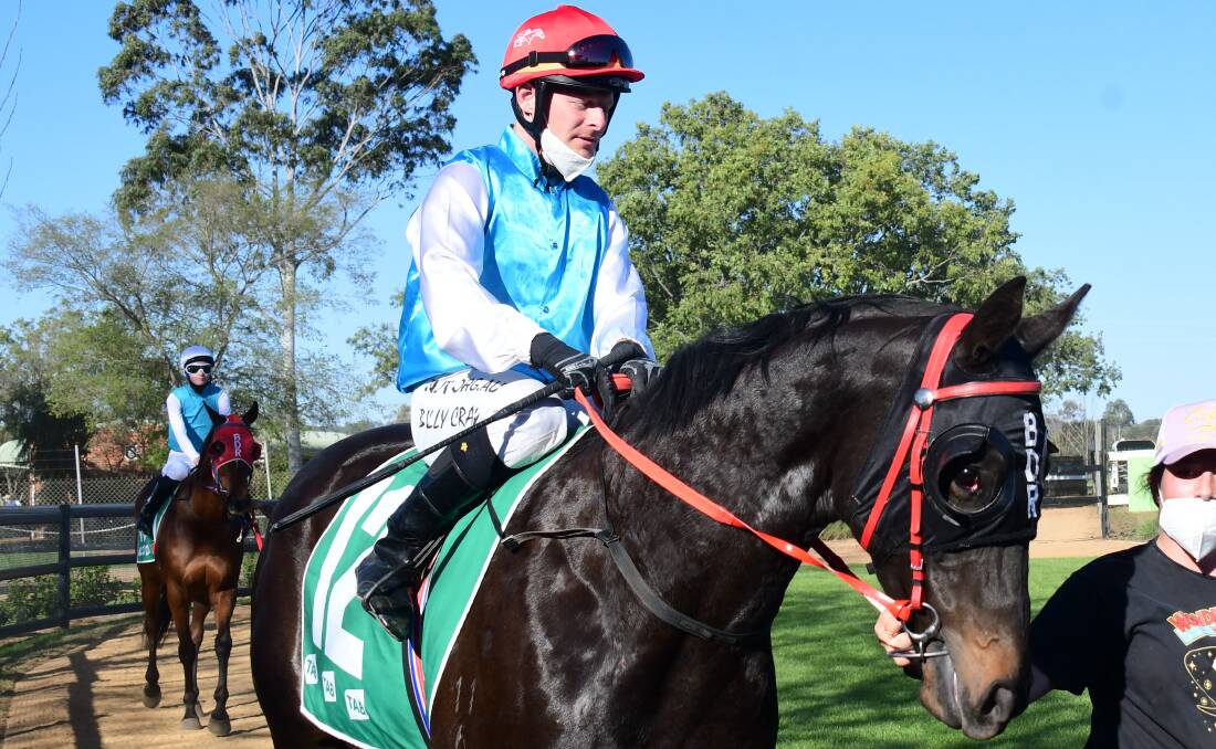 TRIPLE TREAT: Billy Cray, pictured previously at Dubbo, rode three winners at Mudgee. Photo: AMY McINTYRE