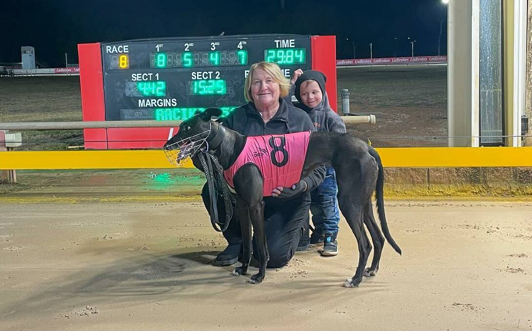 VICTORY: Midnight Flash was a stunning winner of the first Brother Fox Series heat at Dawson Park on Saturday. Photo: DUBBO GREYHOUNDS FACEBOOK