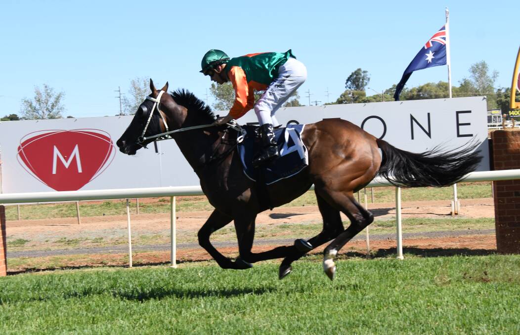 BACK ON THE TRACK: The Darren Hyde-trained Westlink will be in action at Dubbo Turf Club again on Friday after a hugely succesful last preparation. Photo: AMY McINTYRE