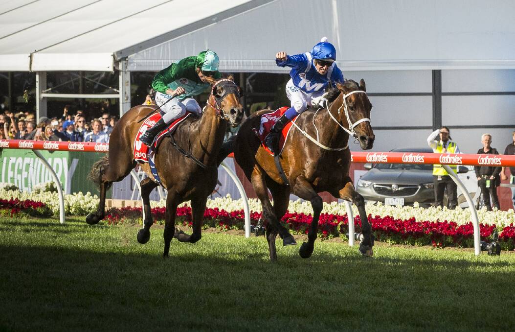 HERE WE GO AGAIN: The Lloyd Walker part-owned Humidor (left) battles Winx during last year's Cox Plate. Photo: CHRIS HOPKINS