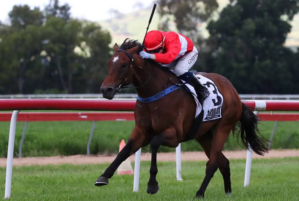 CUP TARGET: The Gai Waterhouse and Adrian Bott-trained Regal Stage has been nominated for Sunday's $100,000 event. Photo: EMMA HILLIER