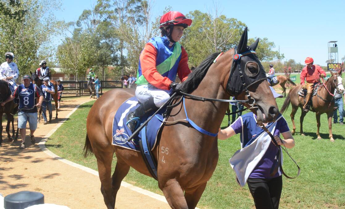 CLOSE: Ashleigh Stanley aboard The Long Run prior to running second at Dubbo last time out. Photo: NICK GUTHRIE