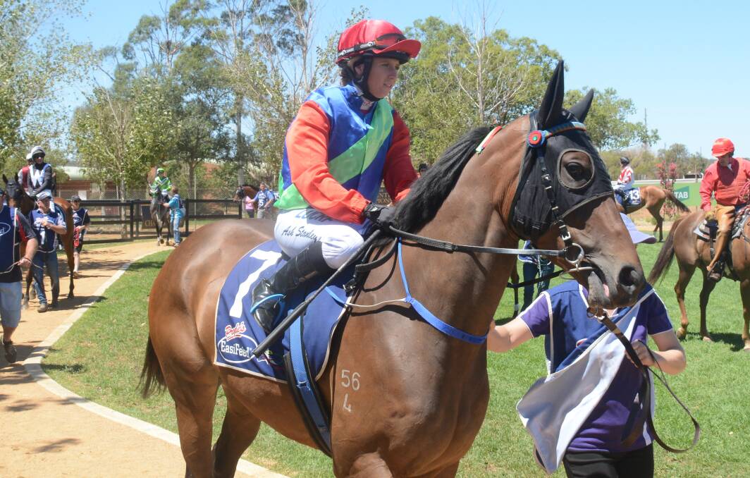 CONSISTENT: Ashleigh Stanley and The Long Run will combine again in Friday's feature sprint event at Mudgee Race Club. Picture: Nick Guthrie