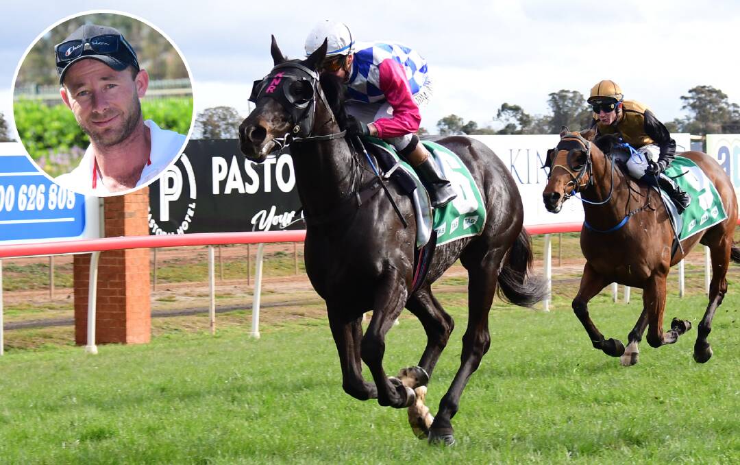 ON TRACK: Sneak Preview is one of two horses (inset) Dubbo trainer Kody Nestor hopes can earn a start in the Kosciuszko. Photo: AMY McINTYRE