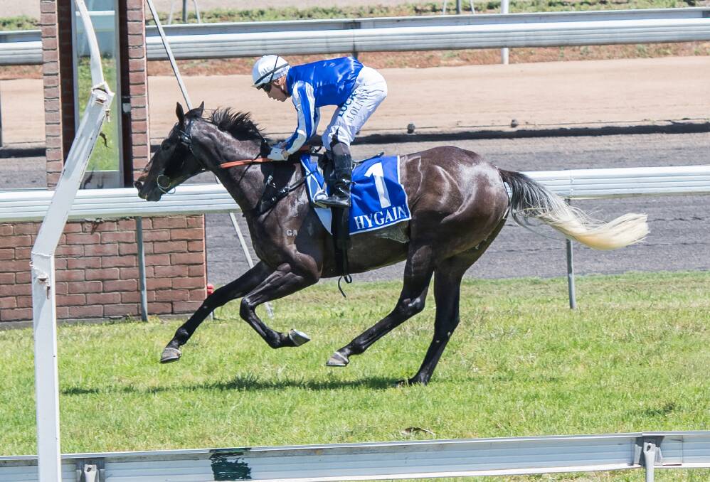 TRACK RECORD: Josh Oliver riding Excitable to victory for Tamworth trainer Luke Morgan last year. The jockey and trainer will combine yet again this weekend when racing at Dubbo. Photo: PETER HARDIN