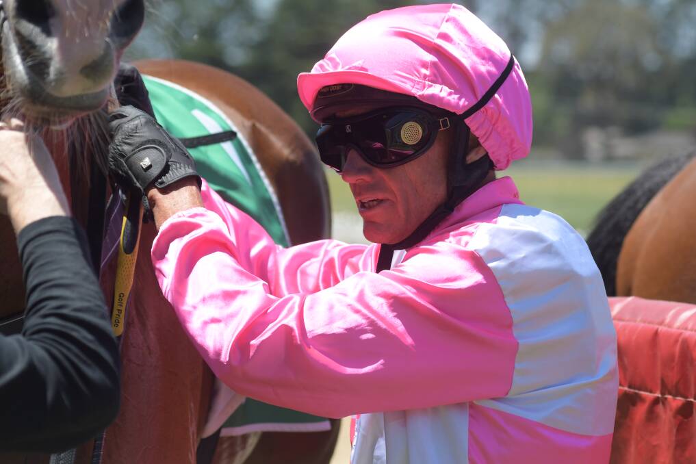 CHANCE: Greg Ryan will ride Port Of Jeddah in Thursday's KB Concrete Class 1 and Maiden Plate. Photo: JUDE KEOGH