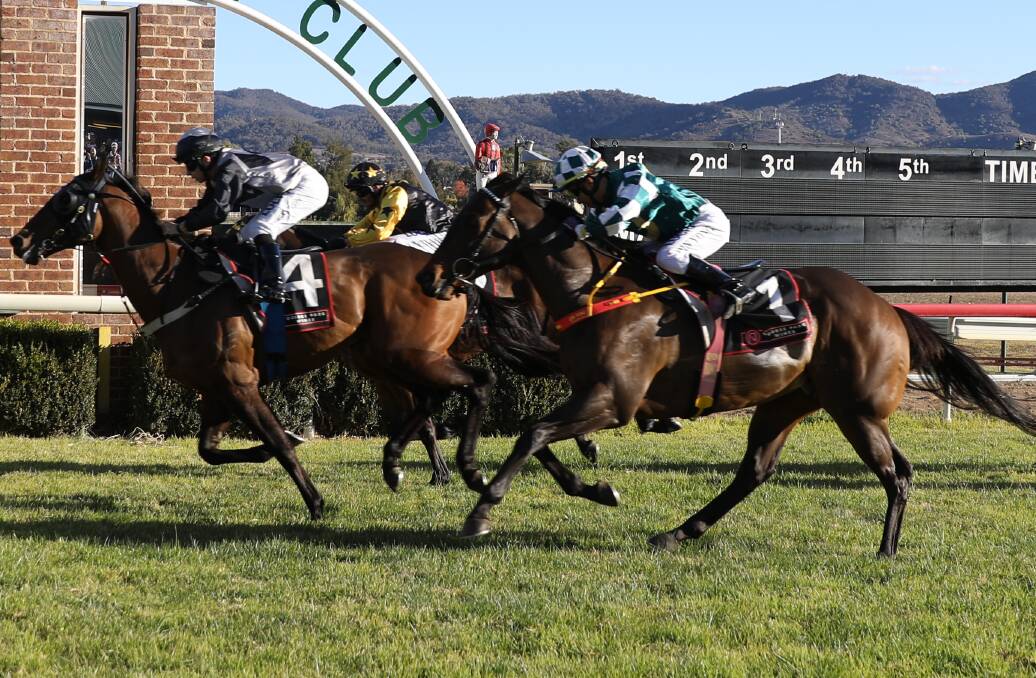 CONTENDER: Bezel (green and white) is contending another feature event on Sunday at Warren. Photo: SIMONE KURTZ