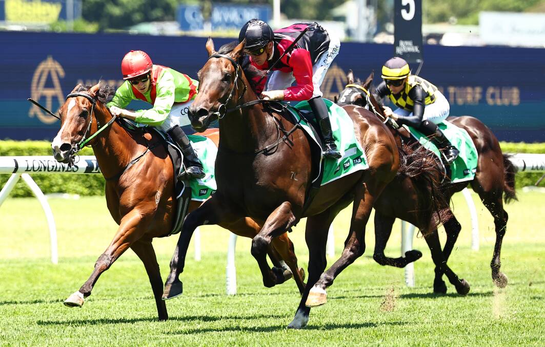 Sam Clipperton guides Gallant Star to victory at Randwick on Saturday, December 30. Picture by Getty Images