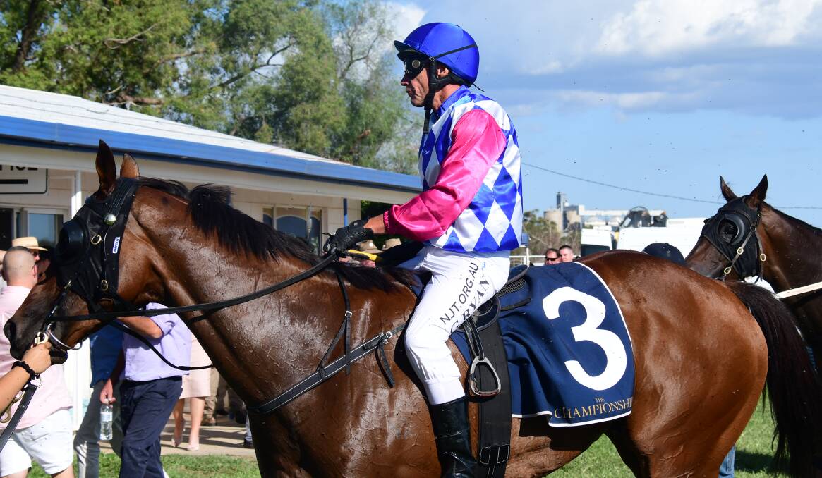 ON TRACK: Fast Talking has been nominated to contest the weekend's Solider's Saddle at Bathurst. Photo: AMY McINTYRE