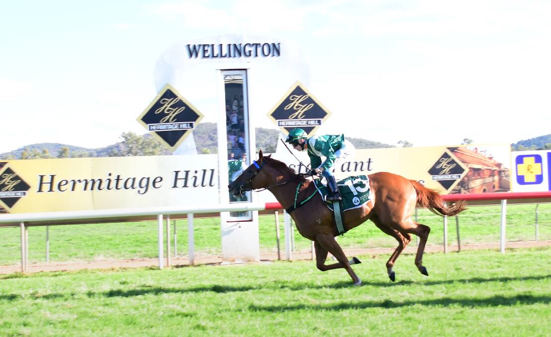 BACK AGAIN: Trainer Damien Lane won last year's Wellington Boot with Sonnet Star. Picture: Amy McIntyre