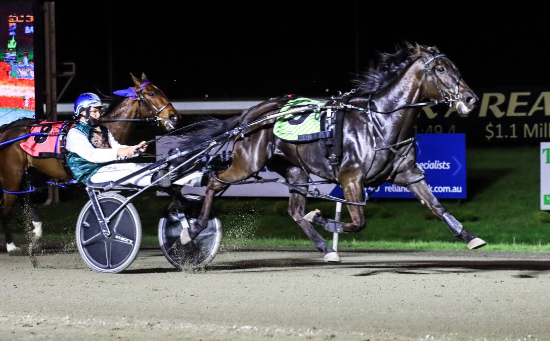 GO AGAIN: Tom Pay and Bid For Stardom will combine again on Saturday night in the Gilgandra Cup. Picture: Coffee Photography
