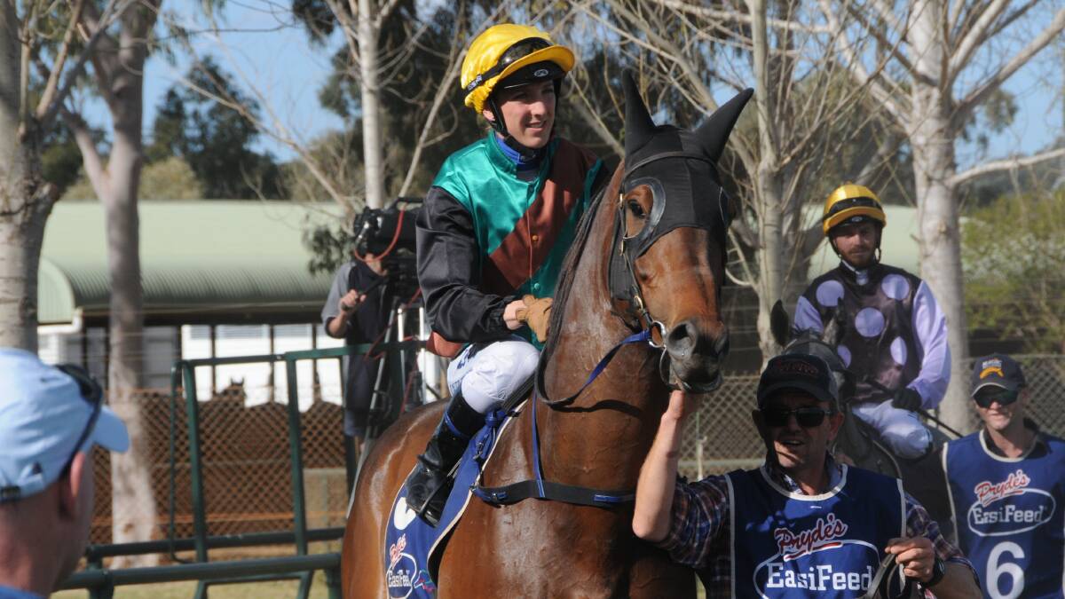 LEADING UP TO THE CUP: Cowboys Karma has been nominated to contest the Dubbo Cup Prelude at Dubbo Turf Club on Friday. Photo: NICK GUTHRIE