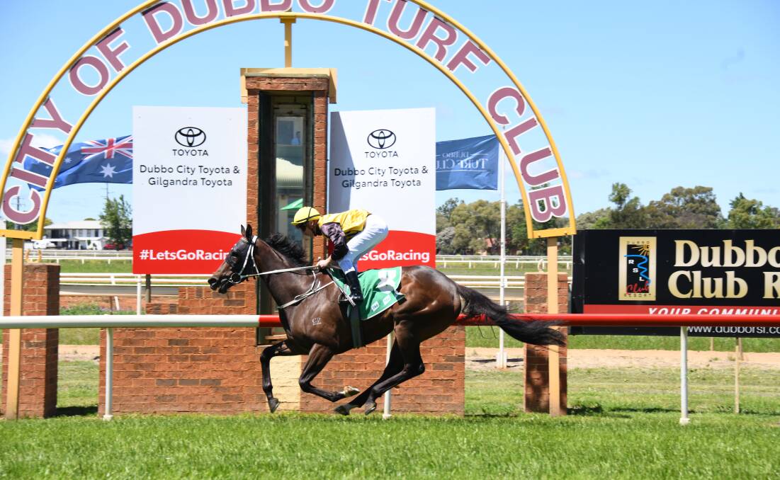 Royal Affair won last year's Western Eagle feature on Derby Day at Dubbo Turf Club. Picture by Amy McIntyre