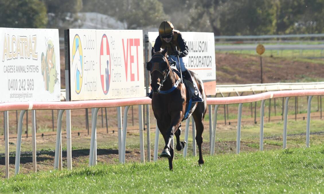 GOING AGAIN: Austin, pictured during a previous win at Dubbo, returns to the track on Monday. Photo: AMY McINTYRE