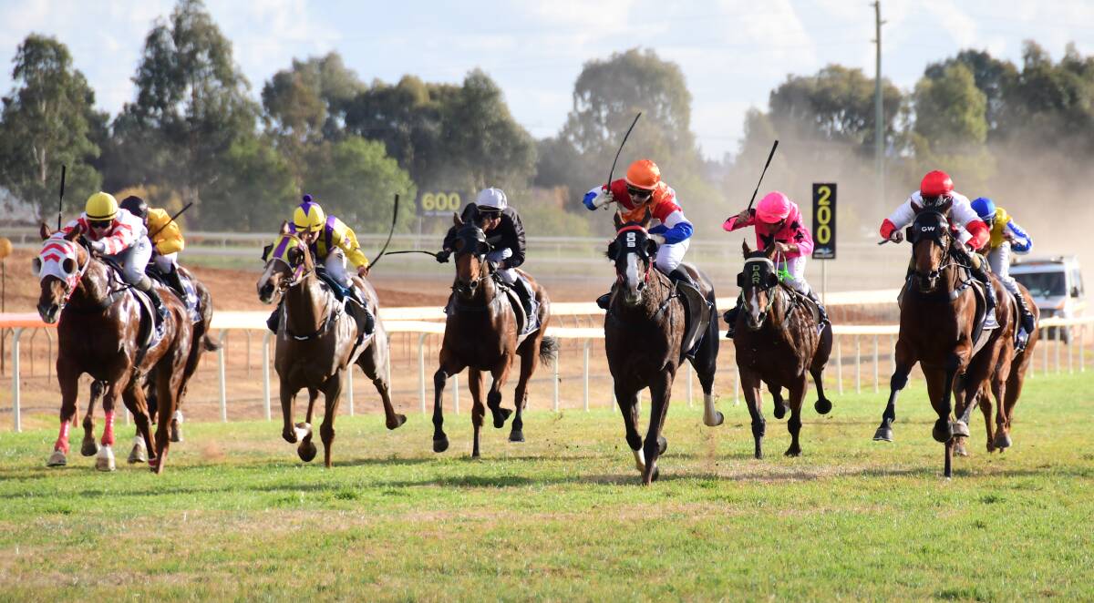 HERE THEY COME: The colours of many of the region's most prominent trainers will be on show at Dubbo this weekend. Photo: BELINDA SOOLE