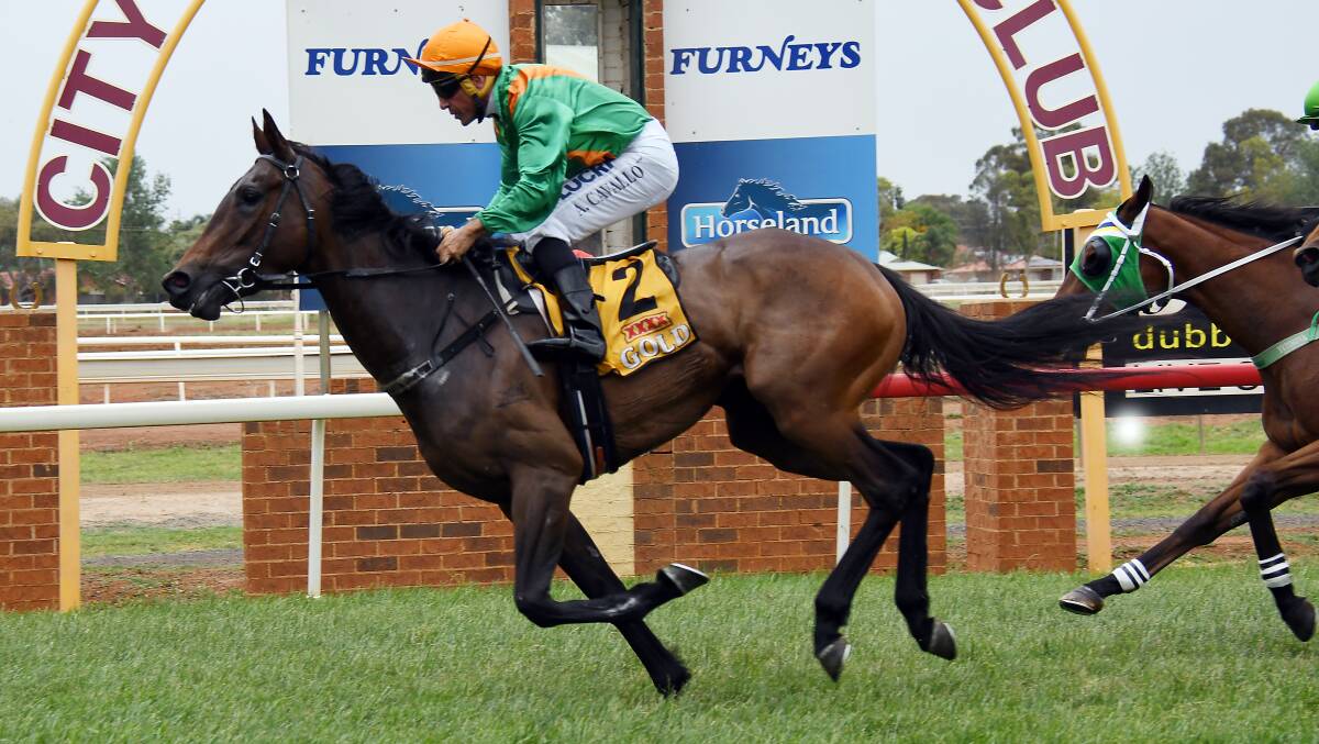 GOING AGAIN: After winning on debut at Dubbo Turf Club on Melbourne Cup day, the Ropy L McCabe-trained Arrow Gaze steps up in grade at his home track at Bathurst on Saturday. Photo: BELINDA SOOLE