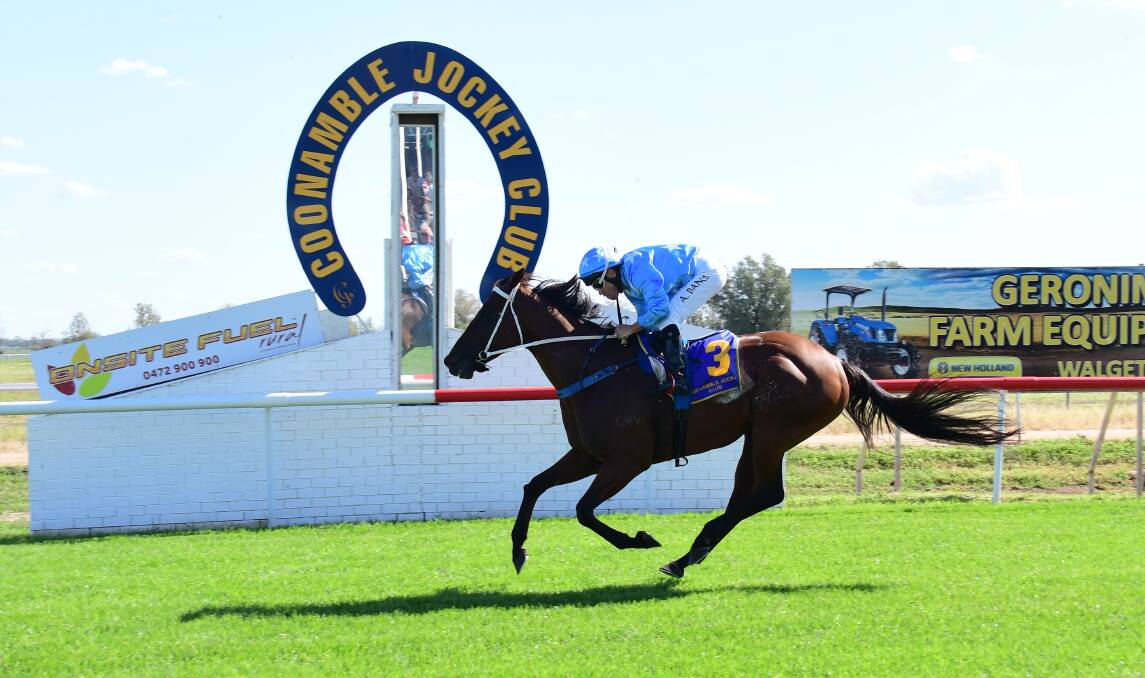 COUNTRY STRONG: Mr Epic pictured winning on the lush Coonamble track during the 2020 Country Championships meeting. Photo: AMY McINTYRE