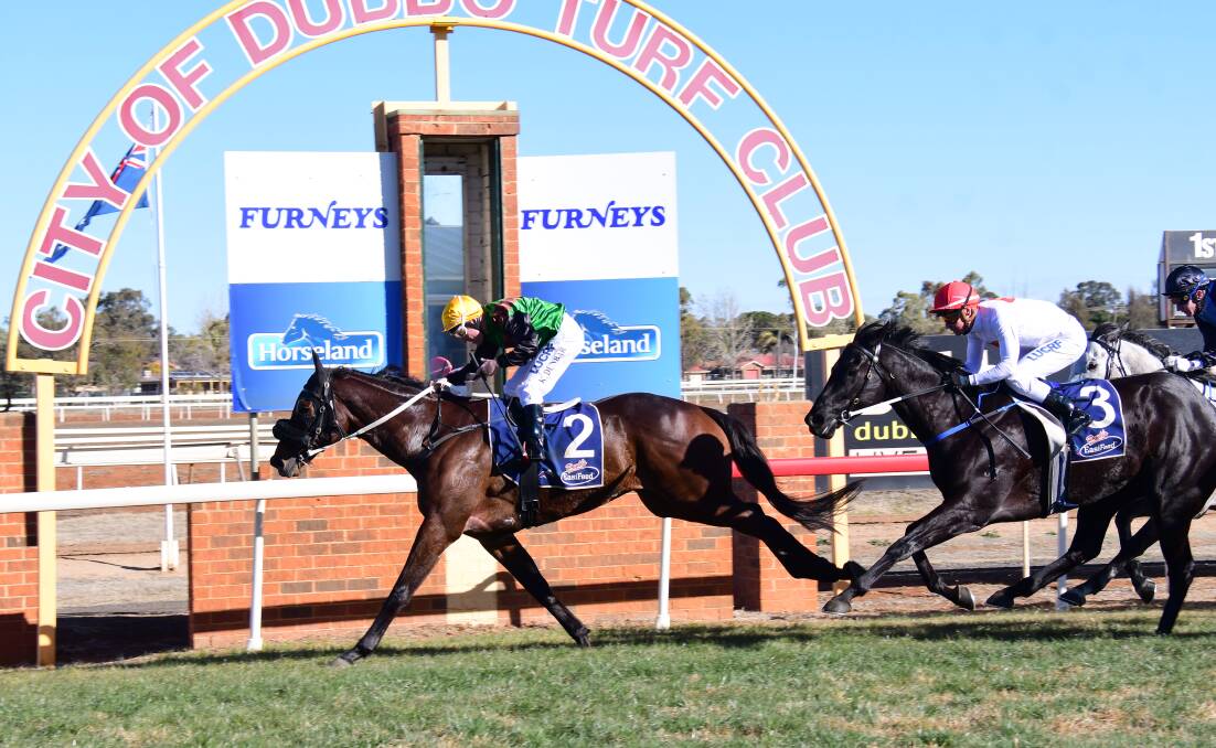 Cowboys Karma impressed first-up at Dubbo on Friday. Photos: AMY McINTYRE