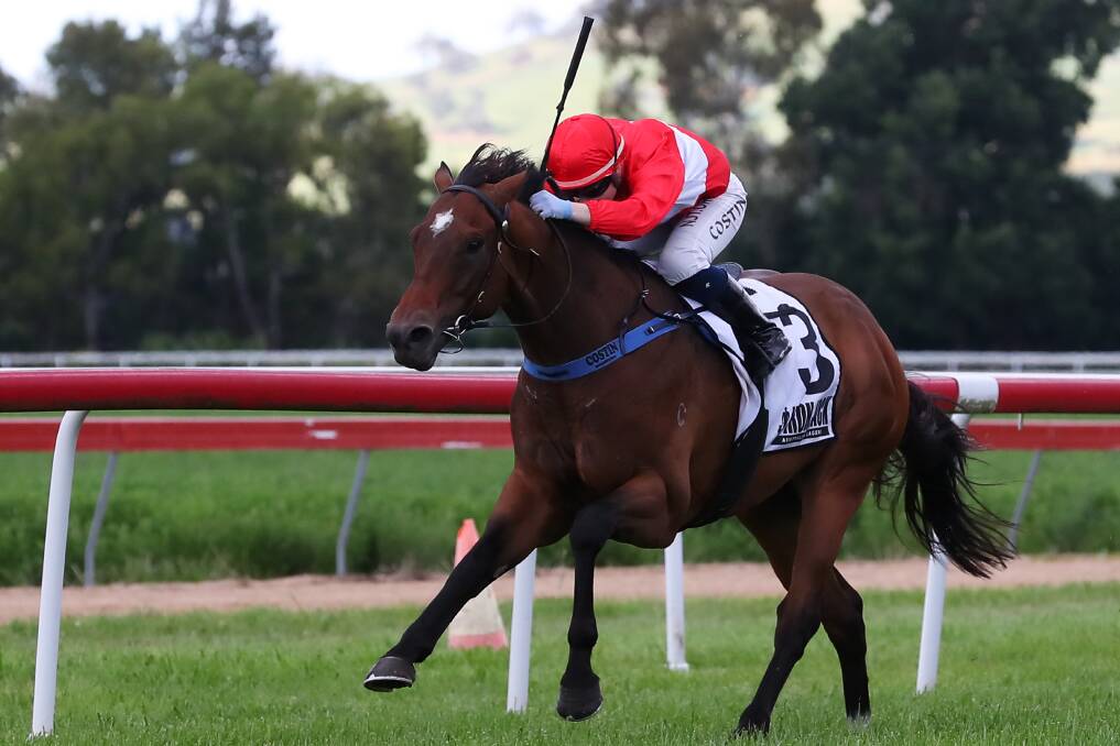 IN THE MIX: The Gai Waterhouse and Adrian Bott-trained Regal Stage was nominated for Sunday's cup. Picture: Emma Hillier