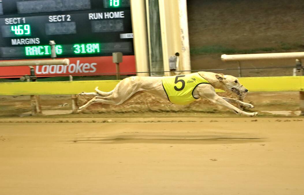 GETTING IT DONE: The Paul Braddon-trained Flaming Fury roars past the post to win the Ladbrokes Protest Payout Final at Dawson Park on Friday night. Photo: COFFEE PHOTOGRAPHY