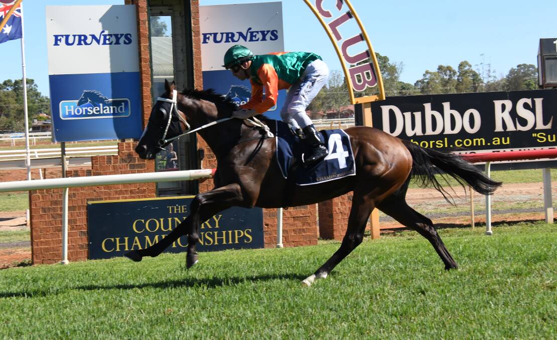 GOING AGAIN: After winning a feature at his home track earlier in the year the Darren Hyde-trained Westlink won again at Dubbo on Friday. Photo: AMY McINTYRE