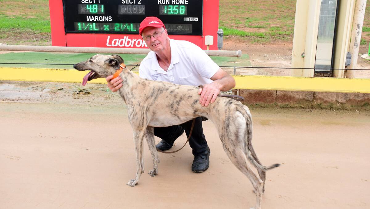 READY TO GO: Paul Braddon and Harper's Fury again shape as the ones to beat at Dubbo's Dawson Park. Photo: BELINDA SOOLE