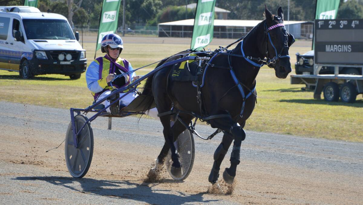 GO AGAIN: The Lloyd Sutton-trained Lovin Everyday is one of a number of Dubbo hopes heading to Parkes on Friday. Photo: KRISTY WILLIAMS