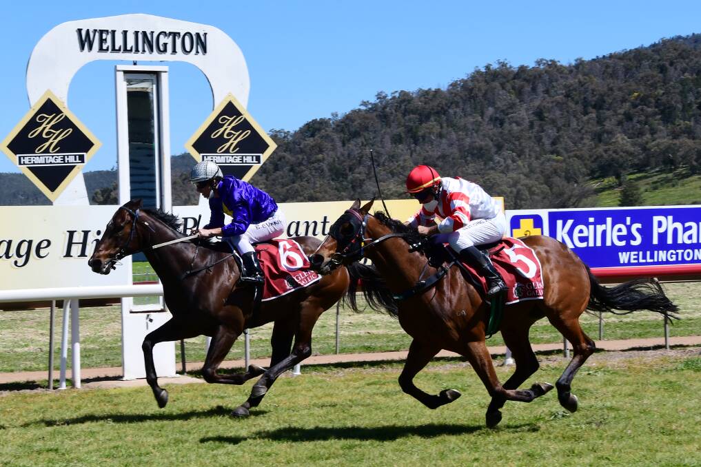 Gallery: IN THE MAIL AND BYZANTIUM WIN AT WELLINGTON. Photos: BELINDA SOOLE