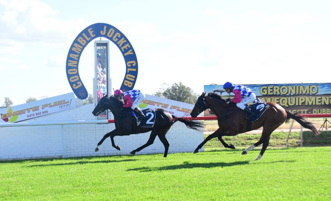 BACK AGAIN: Sneak Preview won the first qualifier run at Coonamble and the race will be there again in March. Picture: Amy McIntyre