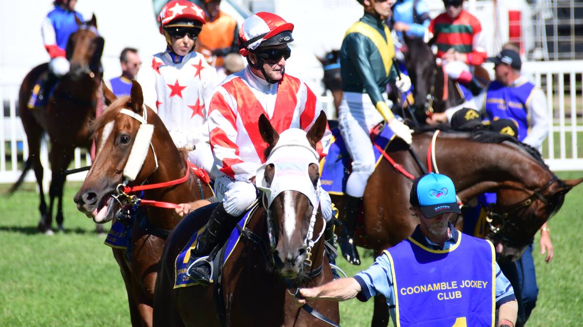IN THE MIX: The Mick Lunn-trained Club Town was one of a number of Dubbo horses with Sydney racing experience nominated for Sunday's cup. Photo: AMY McINTYRE