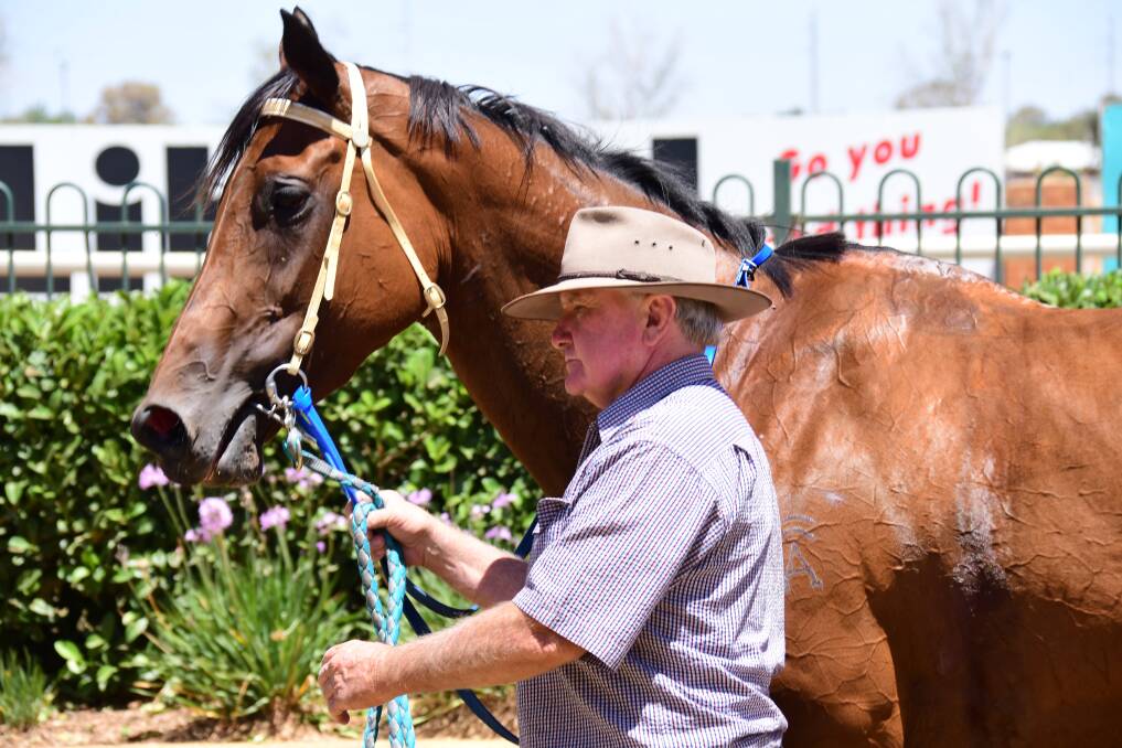THAT TIME AGAIN: Rodney Robb, pictured with former qualifier competitor Lulu's Destiny, has nominated four chances for the 2020 edition of the heat. Photo: AMY McINTYRE