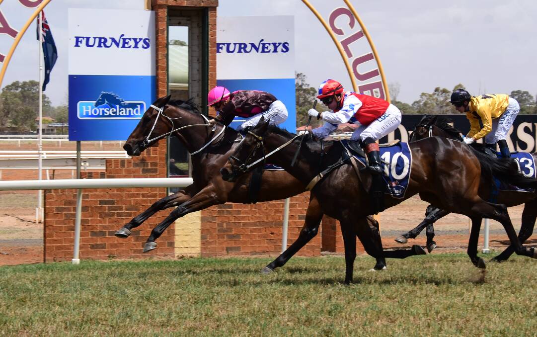 GOING AGAIN: Clever Missile won at last year's Derby Day meeting and trainer Brett Thompson will again have hopes in at Dubbo this weekend. Photo: AMY McINTYRE